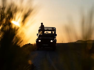 4x4 moonlight safari with traditional dinner in Benidorm