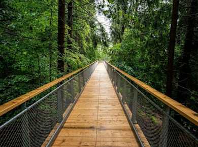 Ticket für den Baumkronenweg mit Senda dil Dragun in Laax