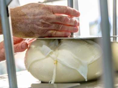Self‑Guided visit to Subaida Cheese Farm – including local tasting experience