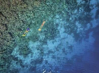 Guided offshore snorkeling excursion with Scuba Plus