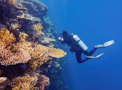 Two-day scuba diving course with equipment by Scuba Plus