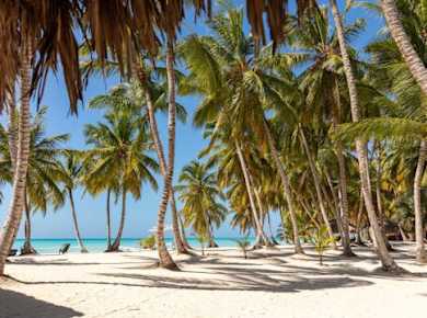 Katamaran-Kreuzfahrt zur Insel Saona mit privatem Strandbereich und Mittagessen
