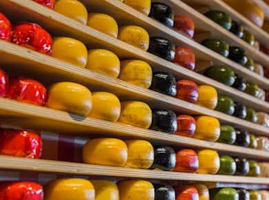 Verkostung und spanische Führung durch die Amsterdam Cheese Company