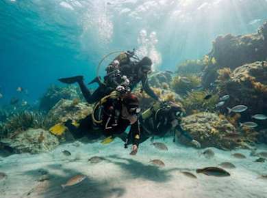 First-time Scuba Diving Experience by Boat in Mallorca