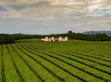 Tourguide durch das Weingut La Val mit Weinverkostung