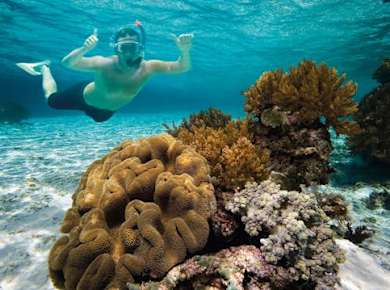 Snorkel tour with Binibeca Diving – ticket with transfers