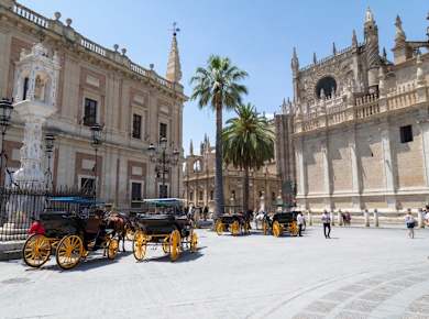 Seville highlights tour with Las Setas and Las Duenas Palace