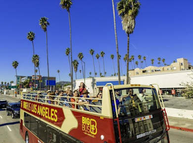 Big Bus Tour of Los Angeles