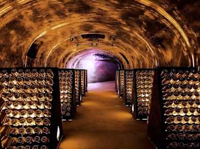 Reims Champagne tasting tour with cellars and cathedral visit