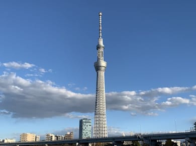 Asakusa Geschichte Tour und Skytree Erkundung