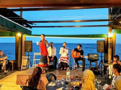 Flamenco sunset show and barbecue dinner in Marbella – ticket only