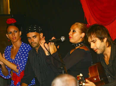 Flamenco sunset show and barbecue dinner in Marbella