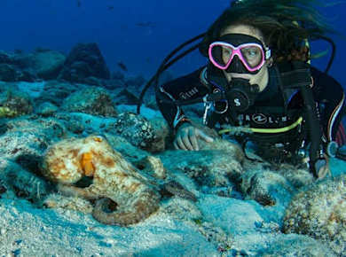 Basic Diver Corralejo