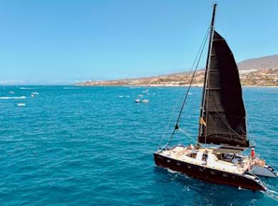 Tenerife adults-only catamaran cruise with drinks and snacks included