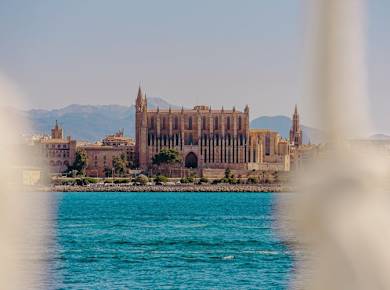 Oceana experience boat trip