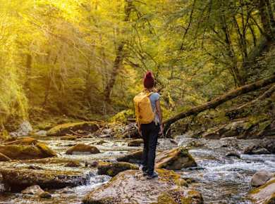 Tagesausflug von Pamplona nach Ochagavia und in den Wald von Irati