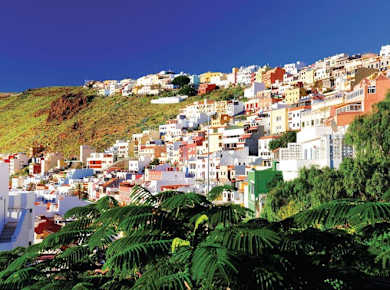 VIP guided tour of La Gomera with Garajonay Park and lunch