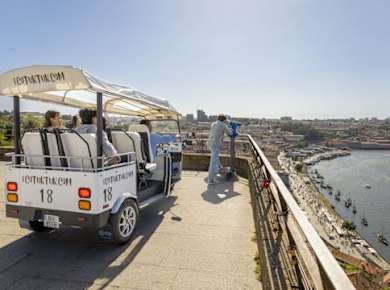 Dreistündige, von einem Experten geführte private Öko-Tuk-Tuk-Tour durch Porto