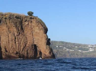 Capelas Küstenbootstour