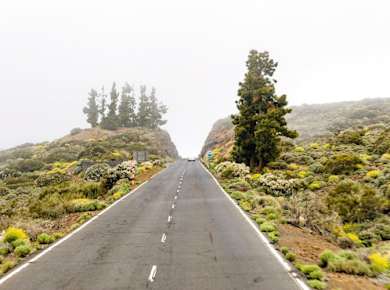 Teide National Park Tour with local guide