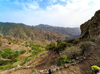 Garajonay National Park sightseeing tour with local lunch