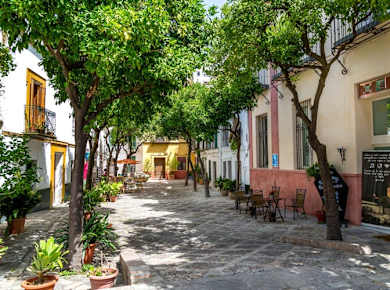 Full-day guided tour of Seville with Casa de Pilatos visit
