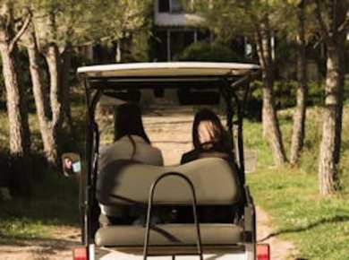 Führung durch den Weinberg und die Kunstsammlung mit dem Buggy