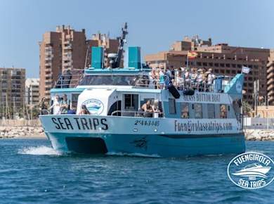 Delfinbeobachtungstour mit dem Katamaran entlang der Costa del Sol