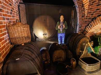 Eintrittskarten für das Elsässische Weinmuseum in Colmar