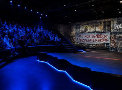 Eintrittskarte für die audiovisuelle Show „Amsterdam in Motion“ mit Tourguide und 1 GB eSIM