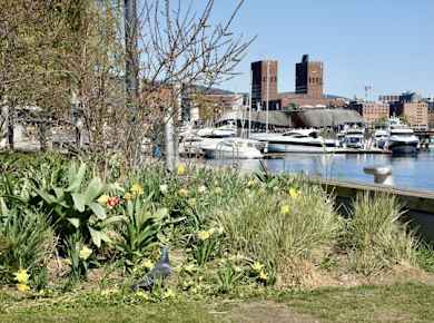 Wellness und Fjordleben - geführter Stadtrundgang durch Oslo