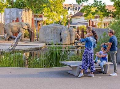 Interaktives Puzzle-Abenteuer im Zoo Basel inklusive Eintrittskarten