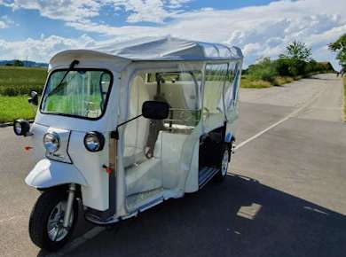 Stadtrundfahrt durch Luzern und Umgebung mit dem Tuk-Tuk