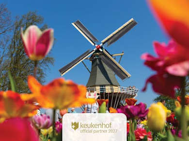 Ausflug von Amsterdam zum Keukenhof und in die niederländische Landschaft