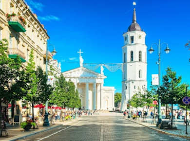 Tourguide durch die Krypta der Kathedrale von Vilnius mit eSIM