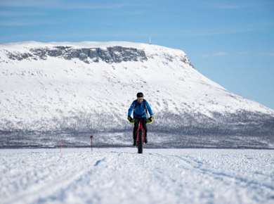 Geführtes Fahrradabenteuer in der Arktis ab Tromsø mit Tourguide