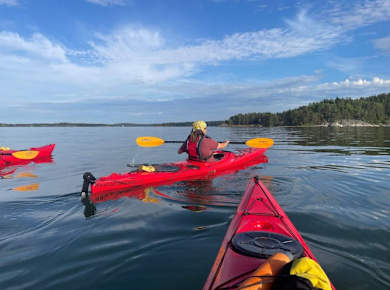 Kayak_Tour_Stockholm_Archipelago_Daytime_15_jmo5so.jpg