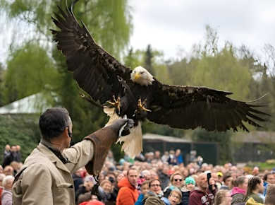 Tageskarte für den Weltvogelpark Walsrode
