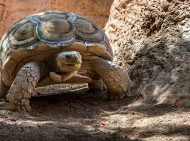 Rancho Texas Lanzarote Park mit Transfers