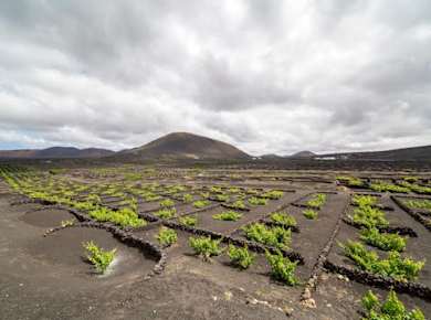 Geführte dreirädrige Motorradtour auf Lanzarote
