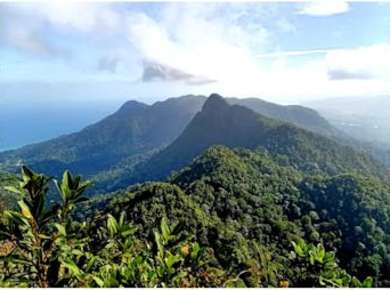 Erlebnis auf den Gipfel des Geoforest-Parks am Berg Matchinchang