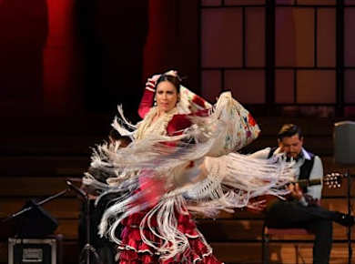 „Gran Gala Flamenco“-Show im Palau de la Música Catalana