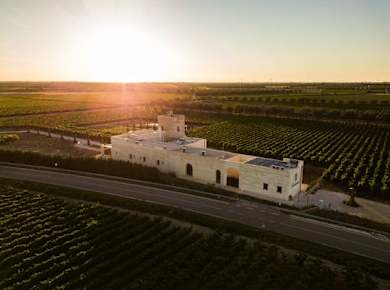 Führung und Verkostung von drei Weinen auf der Masseria Torleanzi