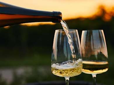 Abendessen bei Sonnenuntergang in den Weinbergen der Masseria Torleanzi