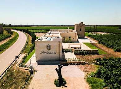 Geführte Weinverkostung mit sechs Weinen in Begleitung eines Sommeliers auf der Masseria Torleanzi