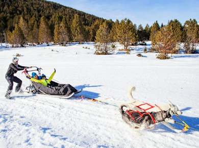 Mushing Experience in Grau Roig