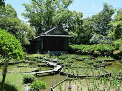 Private Tour durch Yatsushiro mit Besuch des Yatsushiro-Schreins und des Shohinken