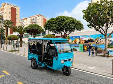Kolonial-Tuk-Tuk-Tour durch Puerto de la Cruz und La Orotava