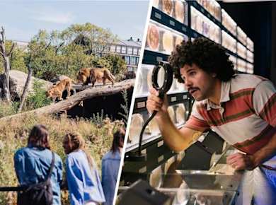 Eintrittskarte für den Artis Royal Zoo und Micropia