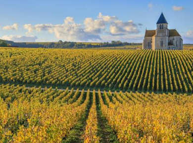 Besuch der Domaine Clotilde Davenne und Weinverkostung in Chablis